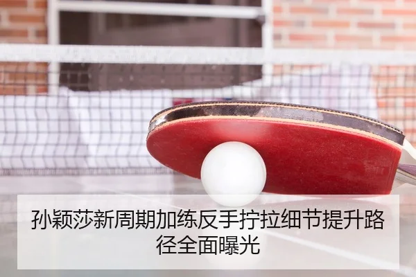 孙颖莎新周期加练反手拧拉细节提升路径全面曝光