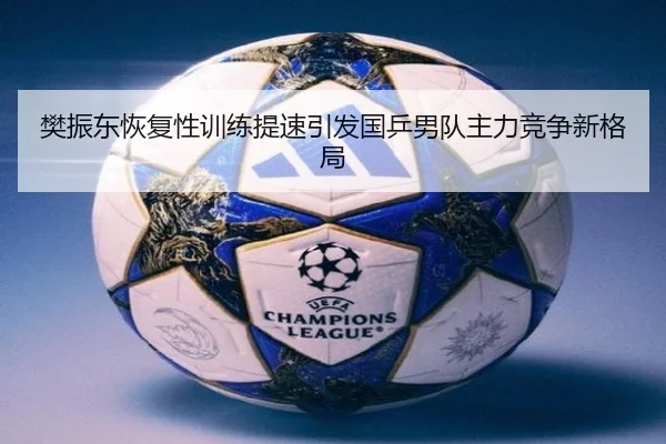 樊振东恢复性训练提速引发国乒男队主力竞争新格局