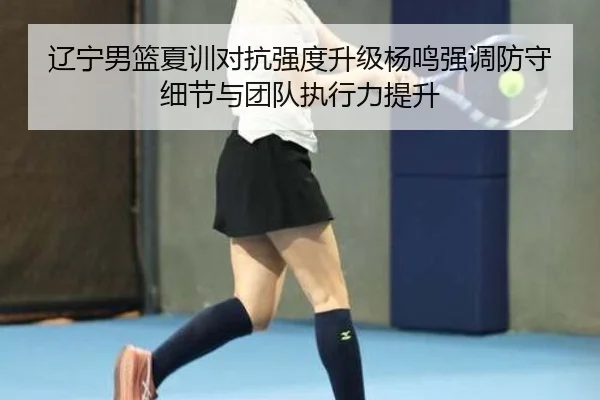 辽宁男篮夏训对抗强度升级杨鸣强调防守细节与团队执行力提升